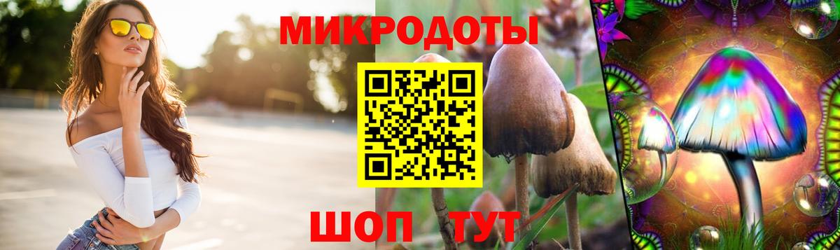 Галлюциногенные грибы ЛСД  Вход с VPN  что такое наркотик  Псилоцибиновые грибы Psilocybe  Котлас 