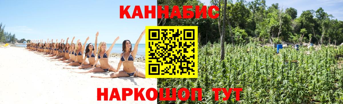 Бошки Шишки планчик  Конопля семена  Бошки марихуана Amnesia  Вход с VPN  Котлас 